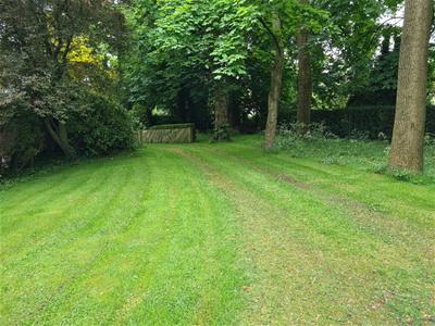 Grounds